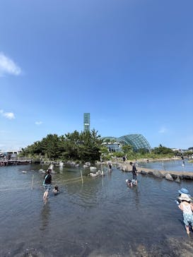 環境水族館アクアマリンふくしまに投稿された画像（2025/8/16）