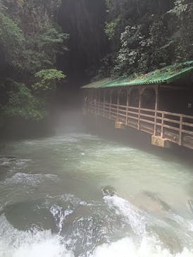 秋芳洞に投稿された画像（2025/8/16）