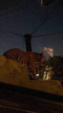 名古屋市東山動植物園に投稿された画像（2025/8/16）