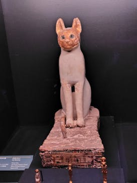 ACN ラムセス大王展 ファラオたちの黄金に投稿された画像（2025/8/16）