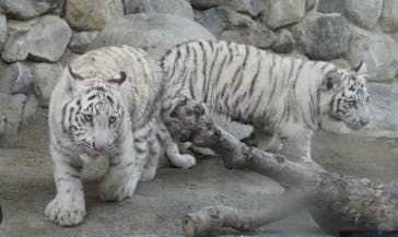 東武動物公園に投稿された画像（2025/8/16）