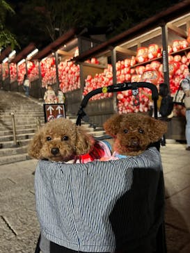 勝尾寺に投稿された画像（2025/8/16）