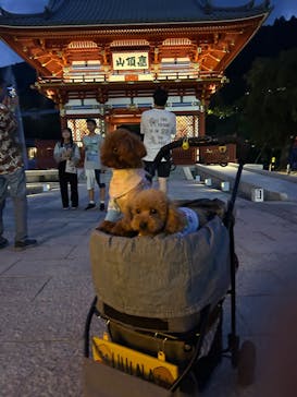 勝尾寺に投稿された画像（2025/8/16）