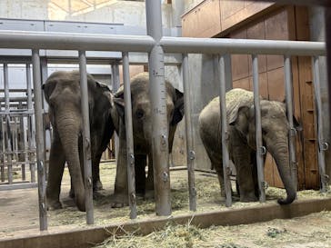 名古屋市東山動植物園に投稿された画像（2025/8/16）
