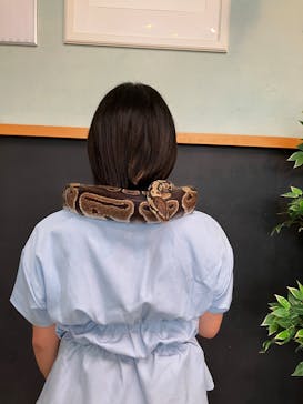 Moff animal cafe iias つくば店に投稿された画像（2025/8/16）