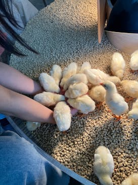 Moff animal cafe iias つくば店に投稿された画像（2025/8/16）