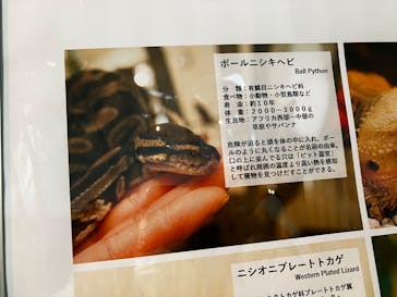 Moff animal cafe iias つくば店に投稿された画像（2025/8/16）