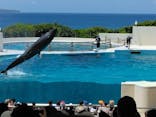 沖縄美ら海水族館に投稿された画像（2025/8/16）
