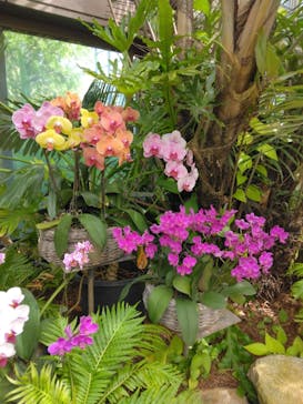 沖縄美ら海水族館に投稿された画像（2025/8/16）