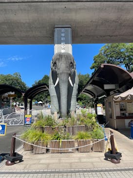 多摩動物公園に投稿された画像（2025/8/16）