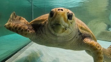 マリンワールド海の中道に投稿された画像（2025/8/16）