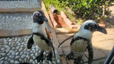 マリンワールド海の中道に投稿された画像（2025/8/16）