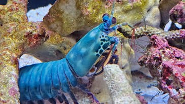 マリンワールド海の中道に投稿された画像（2025/8/16）