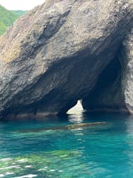 矢越クルーズに投稿された画像（2025/8/16）