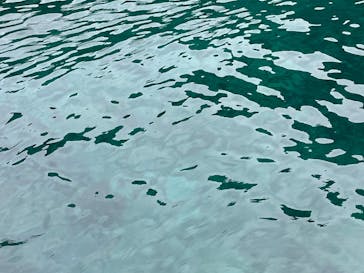 矢越クルーズに投稿された画像（2025/8/16）