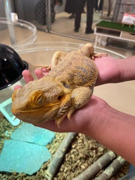 Moff animal cafe イオンモール幕張新都心店に投稿された画像（2025/8/16）