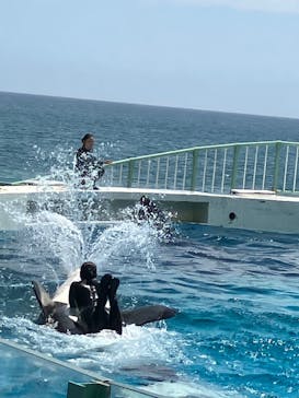 鴨川シーワールドに投稿された画像（2025/8/16）