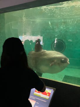 鴨川シーワールドに投稿された画像（2025/8/16）