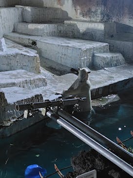 天王寺動物園に投稿された画像（2025/8/16）