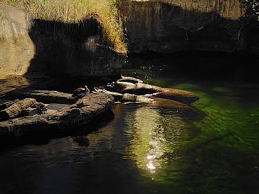 天王寺動物園に投稿された画像（2025/8/16）