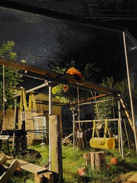 天王寺動物園に投稿された画像（2025/8/16）