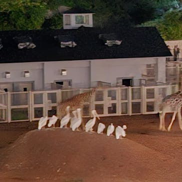 多摩動物公園に投稿された画像（2025/8/16）