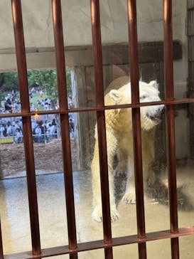 名古屋市東山動植物園に投稿された画像（2025/8/16）