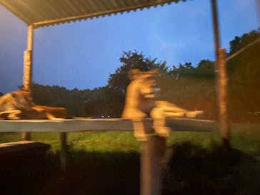 那須サファリパークに投稿された画像（2025/8/16）