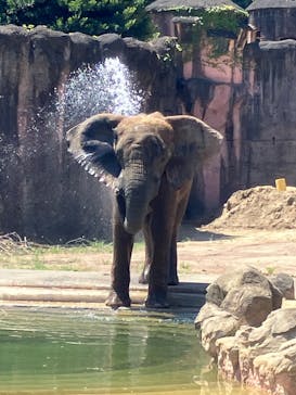 多摩動物公園に投稿された画像（2025/8/16）