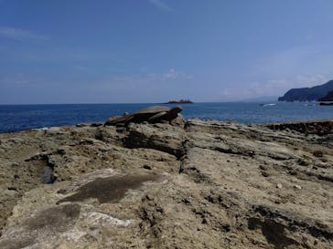 城崎マリンワールドに投稿された画像（2025/8/16）