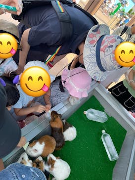 あらかわ遊園に投稿された画像（2025/8/16）