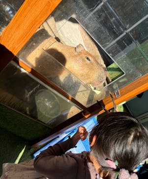 新江ノ島水族館に投稿された画像（2025/8/16）