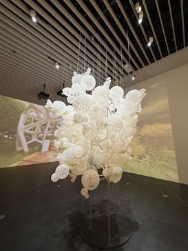 森美術館に投稿された画像（2025/8/16）