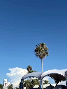 海の中道サンシャインプールに投稿された画像（2025/8/16）