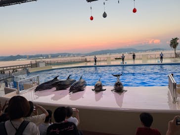 マリンワールド海の中道に投稿された画像（2025/8/16）