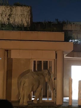 名古屋市東山動植物園に投稿された画像（2025/8/16）