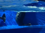 サンシャイン水族館に投稿された画像（2025/8/17）