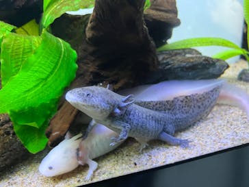 サンシャイン水族館に投稿された画像（2025/8/16）