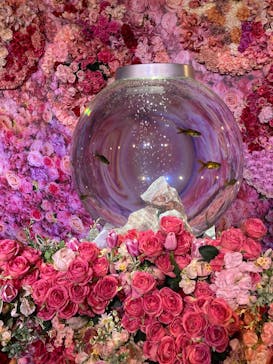 錦鯉・金魚アクアリウム in ときメッセに投稿された画像（2025/8/16）