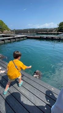 太地町立くじらの博物館に投稿された画像（2025/8/16）