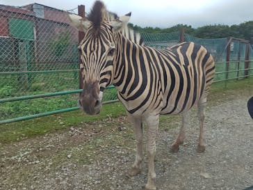 東北サファリパークに投稿された画像（2025/8/16）