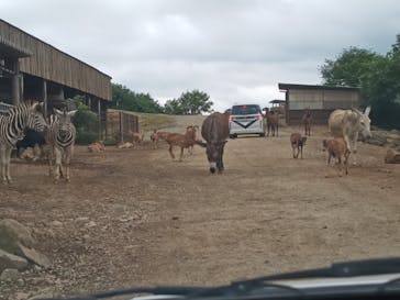 東北サファリパークに投稿された画像（2025/8/16）