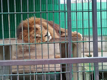 東北サファリパークに投稿された画像（2025/8/16）