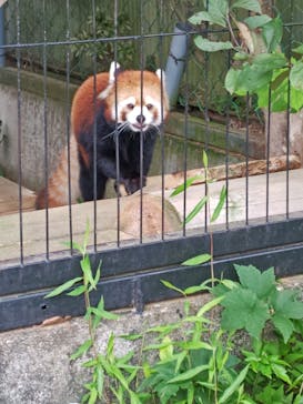 東北サファリパークに投稿された画像（2025/8/16）
