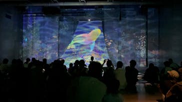 旅する光の切り絵展 ～くうそうって、まほうだよ～に投稿された画像（2025/8/16）