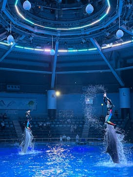 マクセル アクアパーク品川に投稿された画像（2025/8/16）