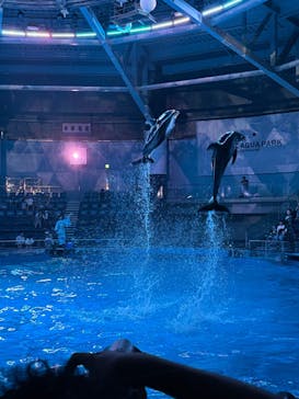 マクセル アクアパーク品川に投稿された画像（2025/8/16）