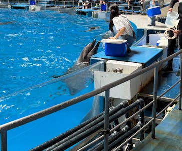 マクセル アクアパーク品川に投稿された画像（2025/8/16）