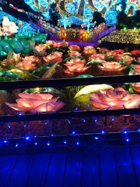 伊豆高原グランイルミに投稿された画像（2025/8/16）