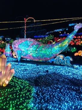 伊豆高原グランイルミに投稿された画像（2025/8/16）